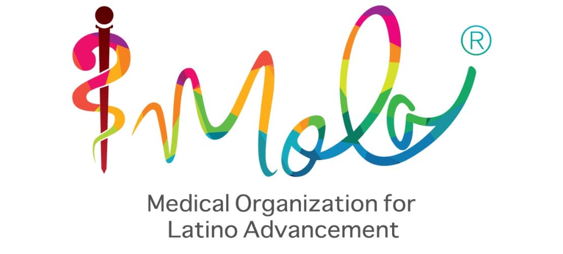 Lewis University logo